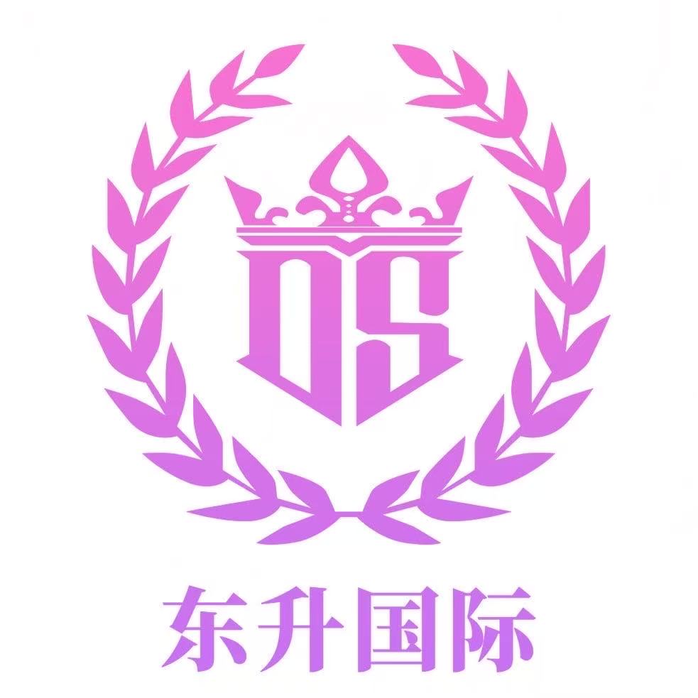 东升国际